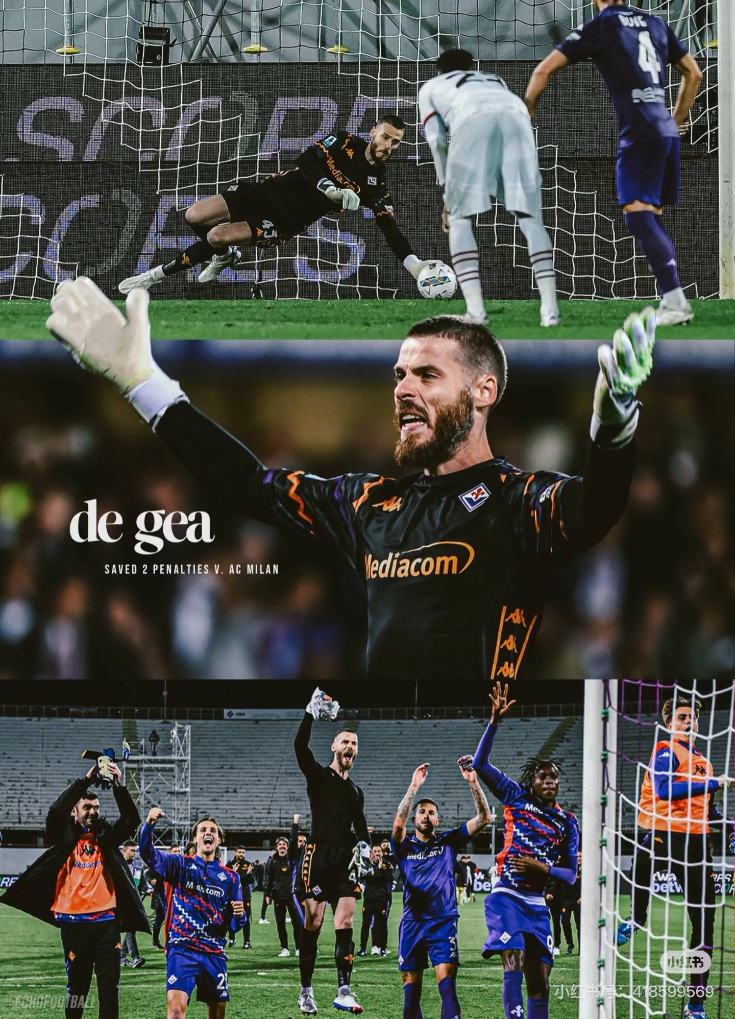 佛罗伦萨客场击败热那亚，积分榜上升的简单介绍