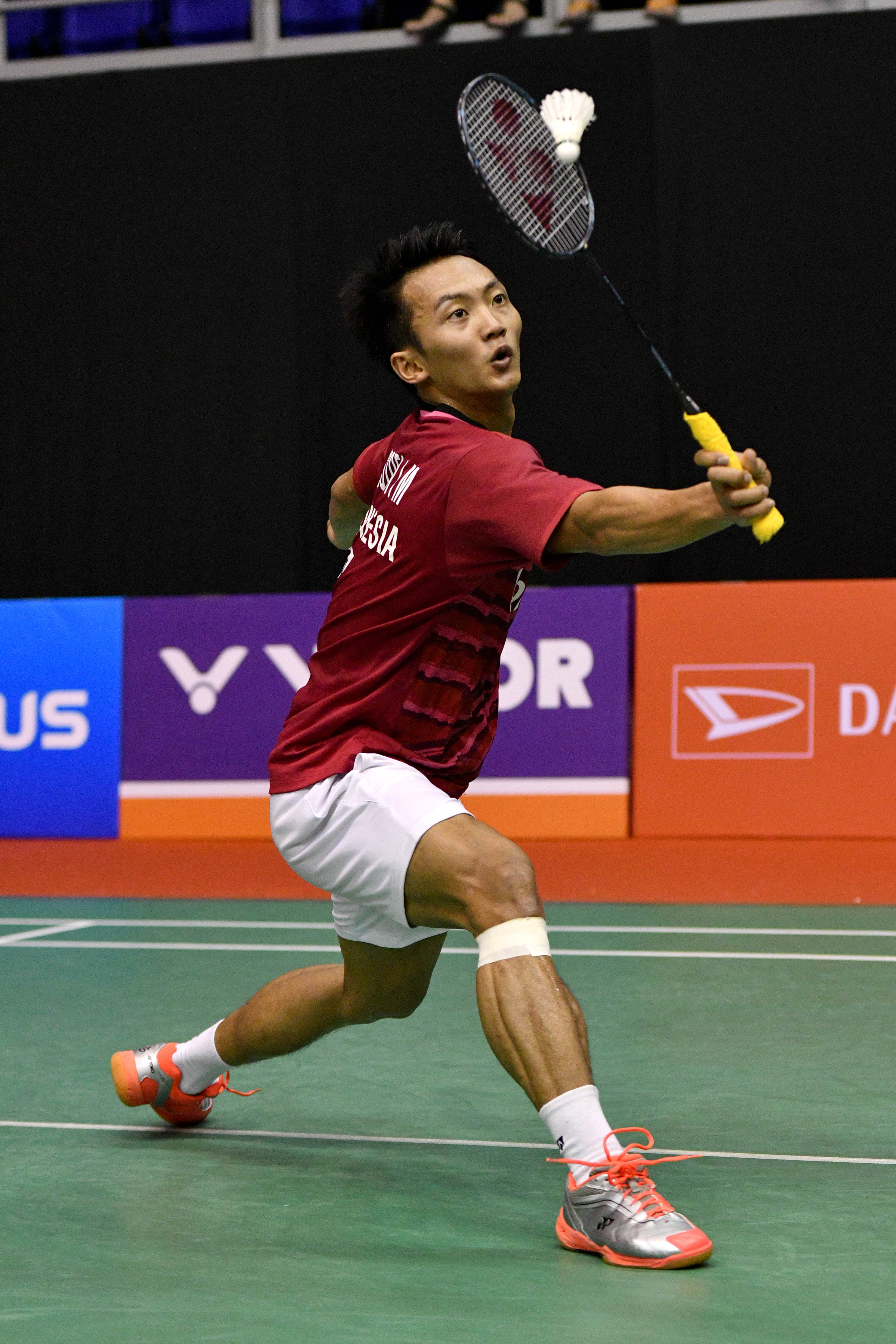 中国羽毛球队翻盘马来西亚羽毛球队，林丹高光表现的简单介绍