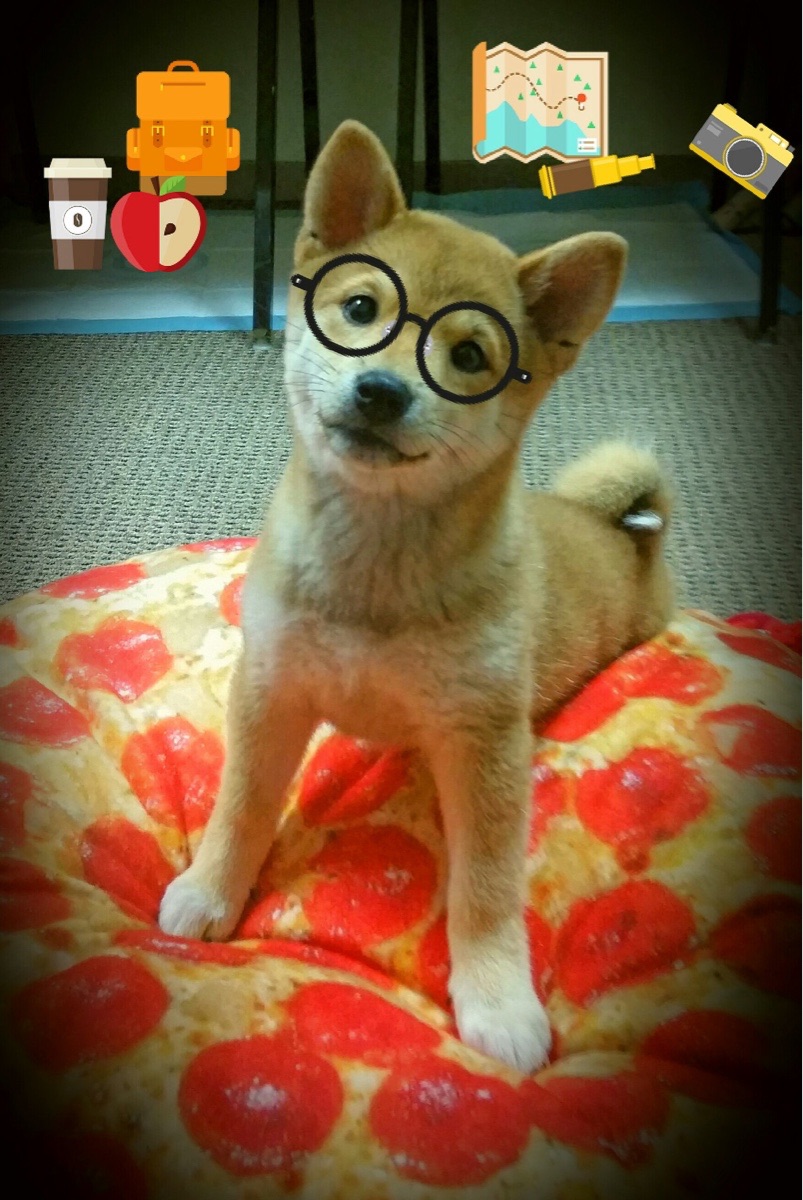 上海险胜公牛，霍勒迪化身定海神针，全场稳定输出诠释何为巨星本色