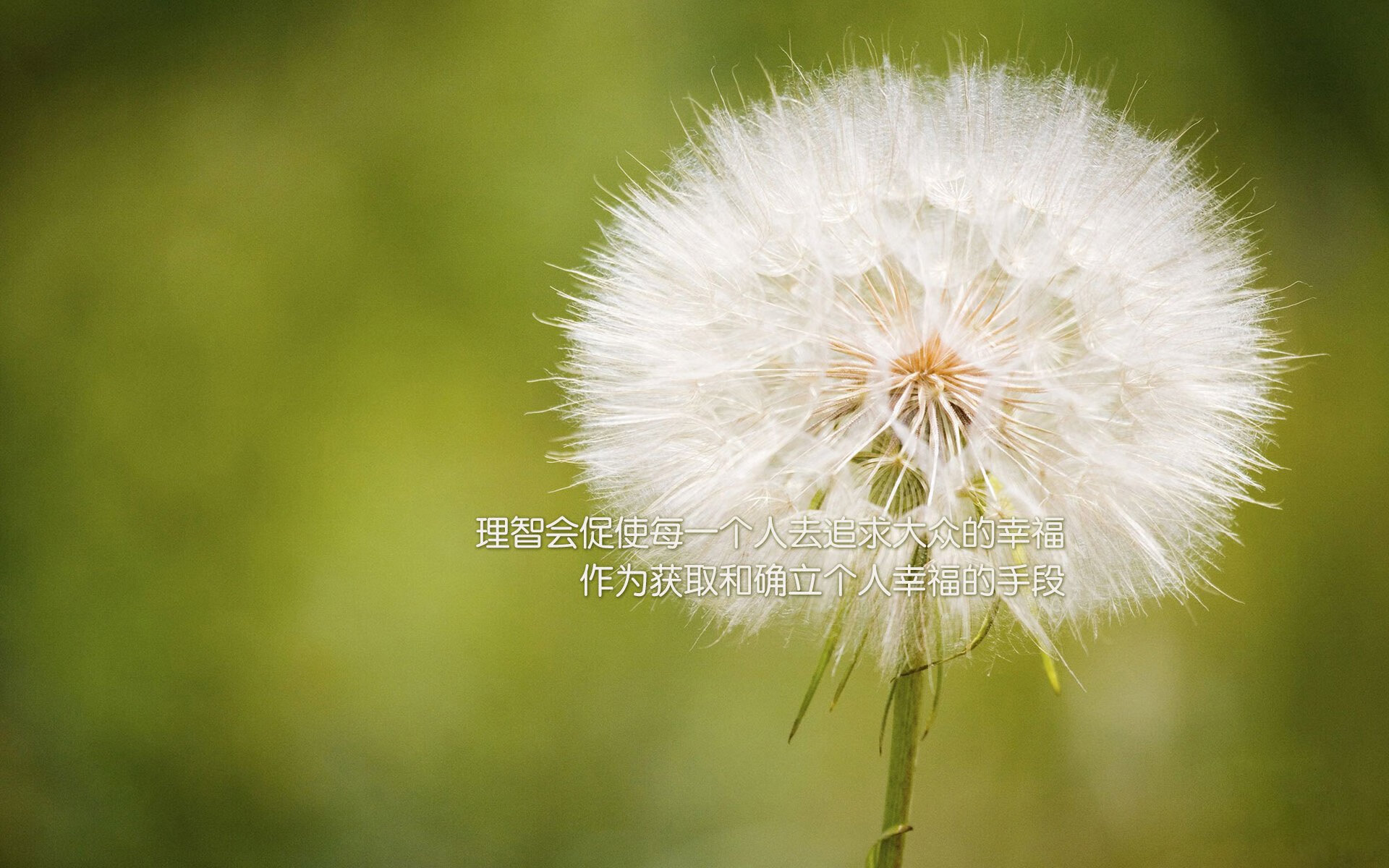 悬念留到最后一刻，中国男篮努涅斯式爆发，末节攻坚带走阿尔及利亚