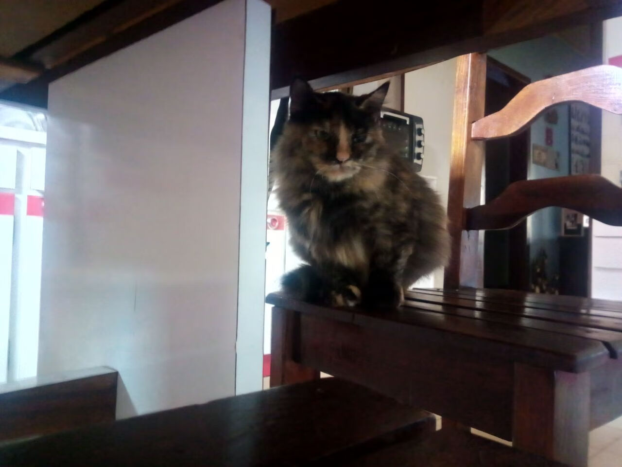 冠军基因的投射效应，当湖人遭遇森林狼，杜兰特式表现如何定义胜负