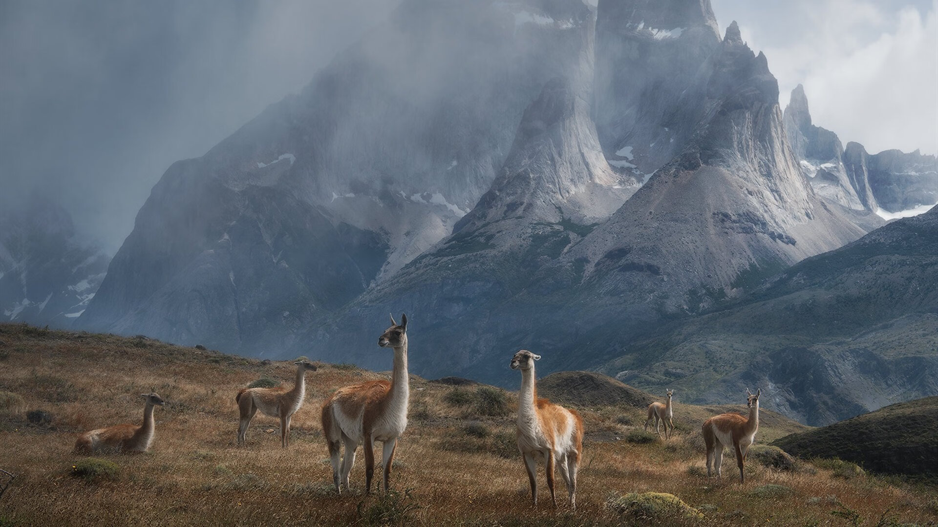 从诺坎普到世界之巅,阿劳霍如何将巴萨铁血防守铸成乌拉圭的冠军之盾