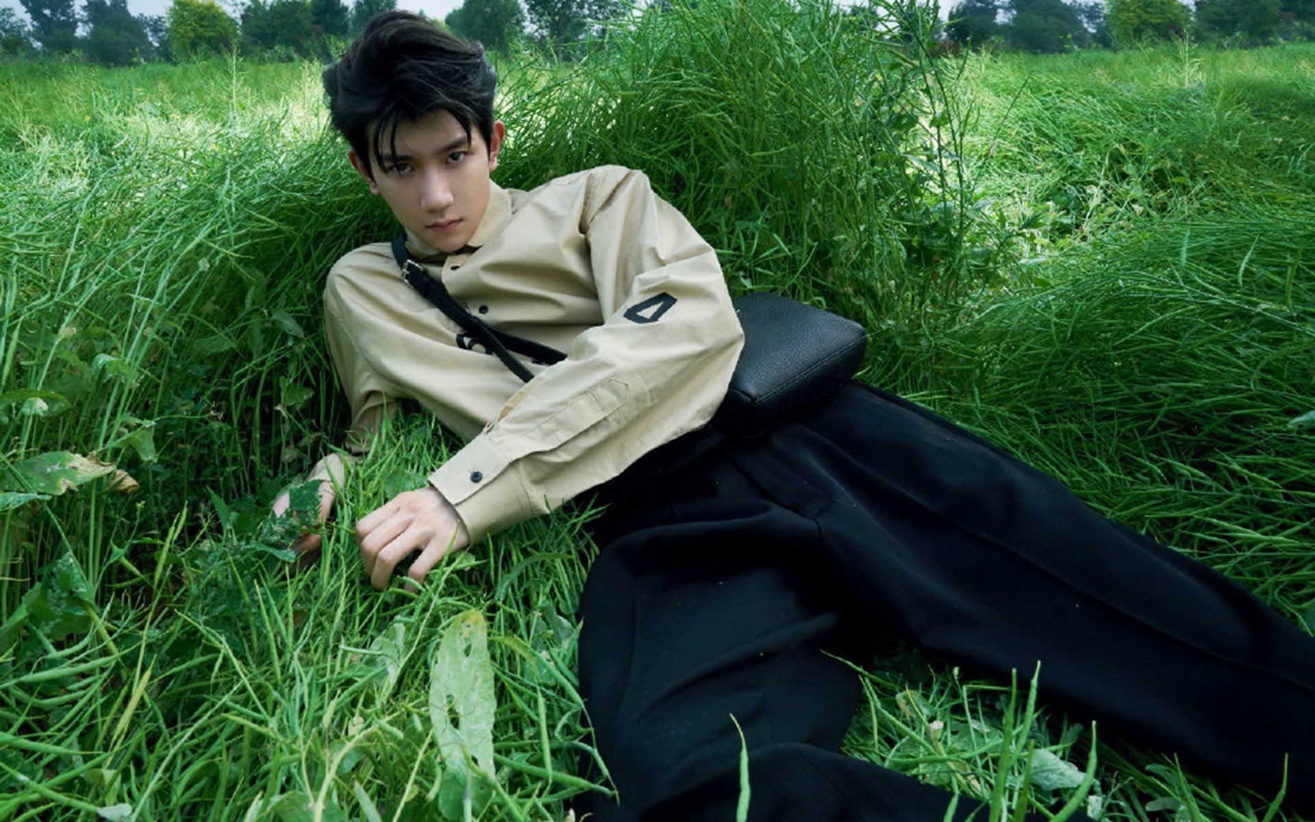 赛场与战场，弗拉霍维奇的爆发与埃及冲垮伊拉克—论黑天鹅事件的结构性颠覆