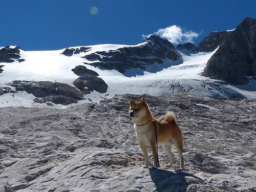 马刺掀翻老鹰，世界排名争夺战焦点战爆冷门