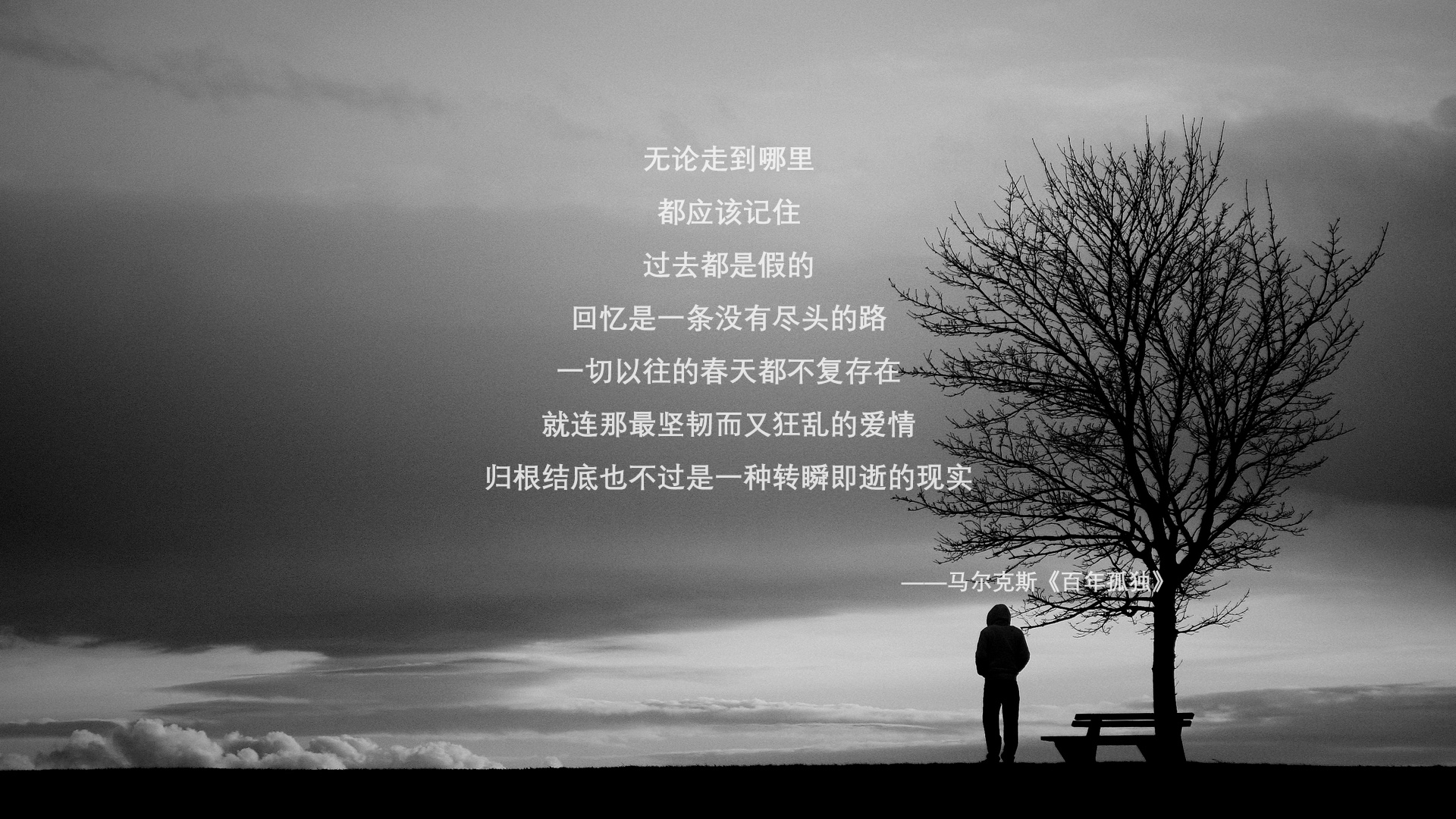 南美篮球风暴,玻利维亚绝杀厄瓜多尔,NBA总决赛级焦点战震撼全球