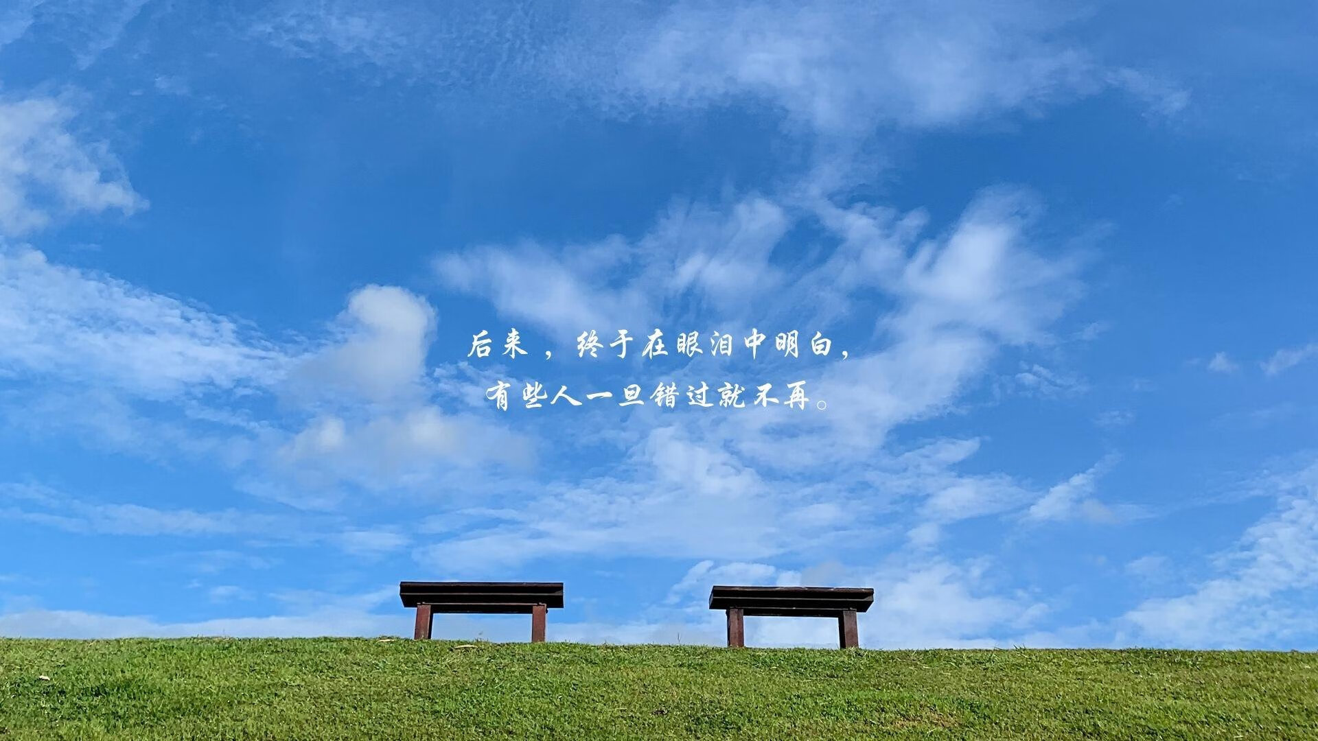 沙特队横扫洪都拉斯,阿拉巴赛后评分拉满的辉煌之夜