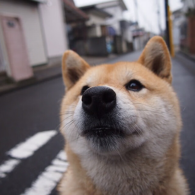 年度焦点之战,德国封锁比利亚雷亚尔—欧冠舞台上的战术绞杀与逆袭传奇