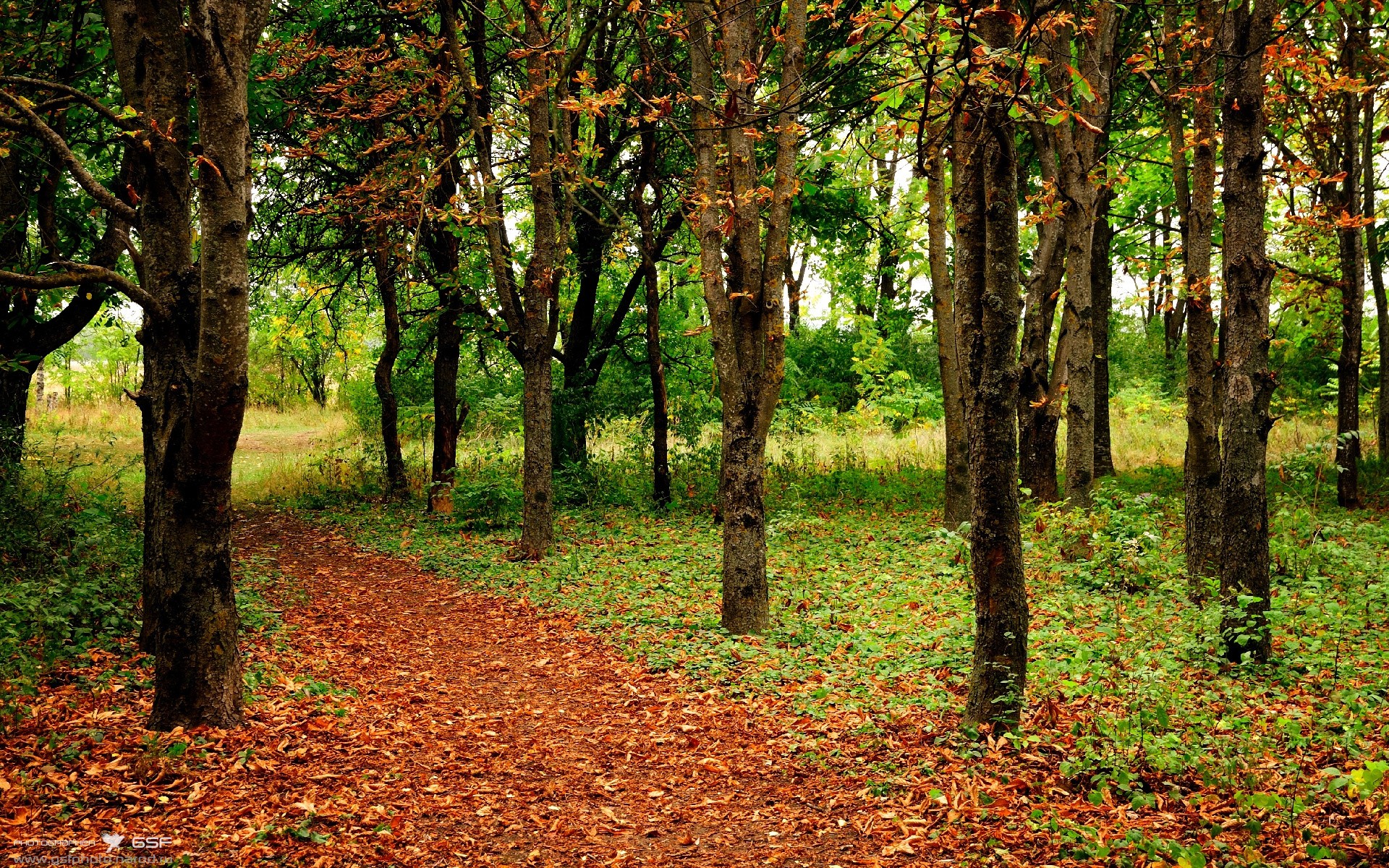 墨西哥高原夜战,罗马最后时刻击碎利物浦的梦