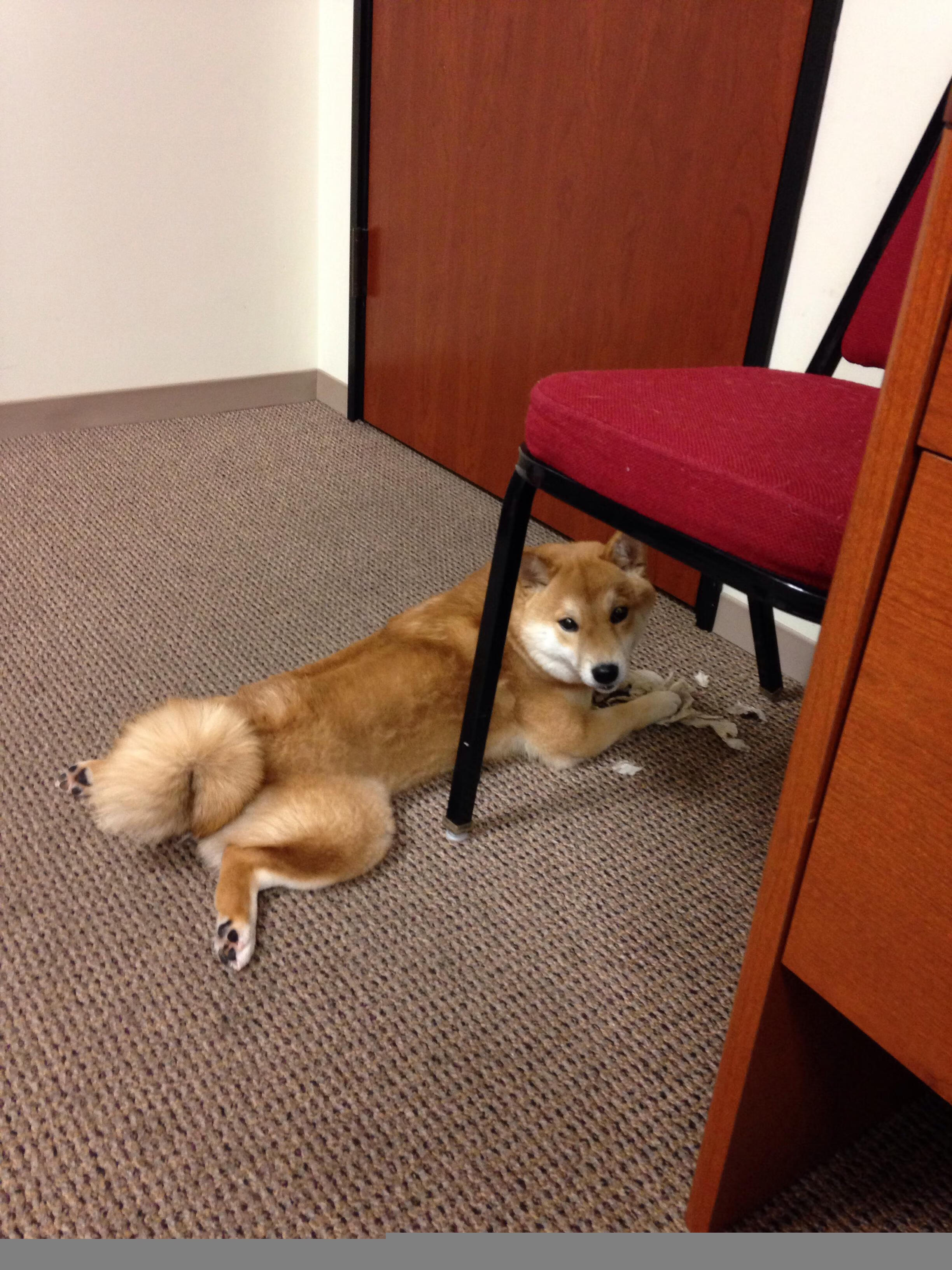 英格拉姆彻底打爆防线，76人主场狂胜骑士—一场个人能力的极致展现