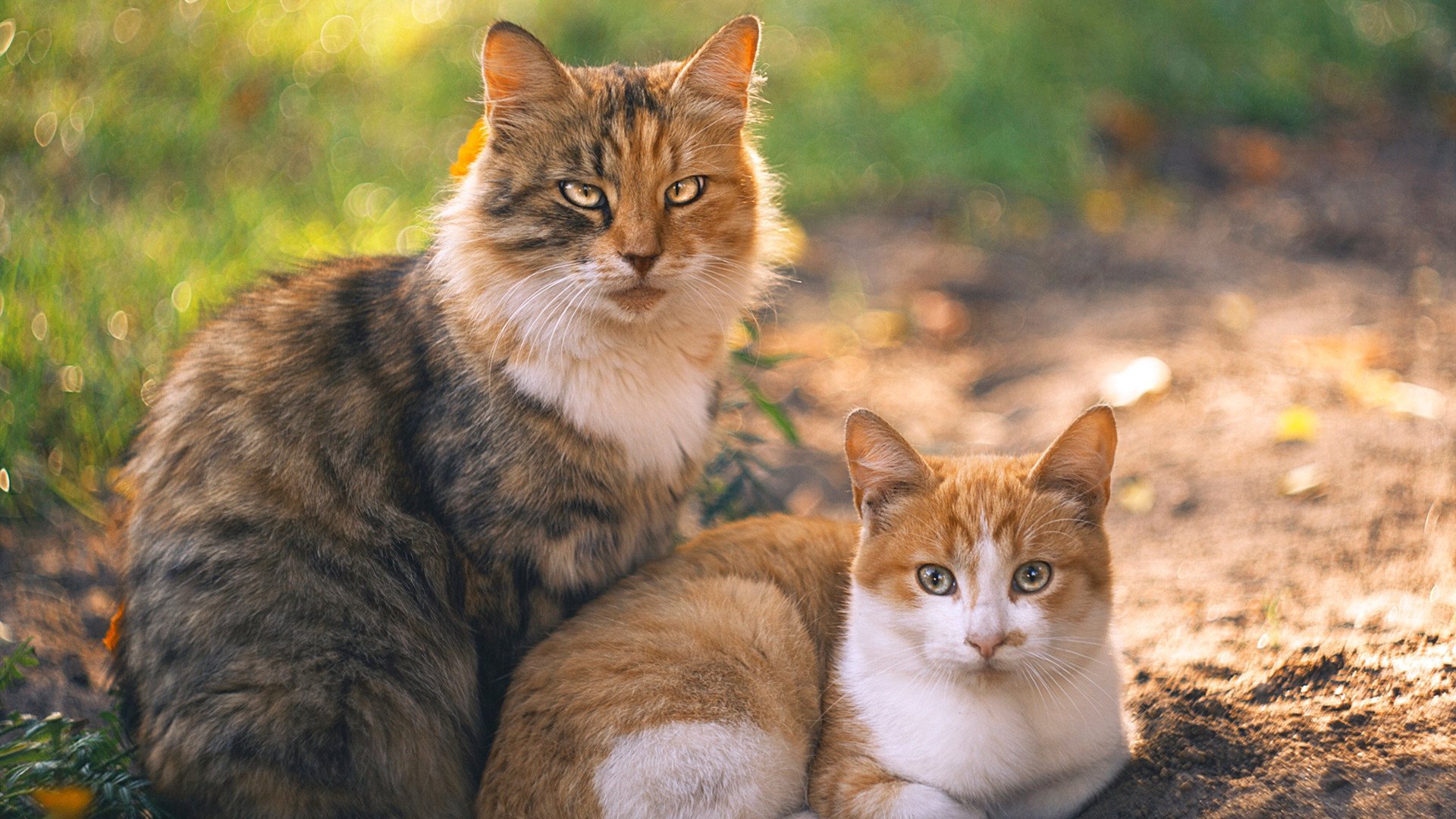 太阳VS勇士巅峰对决,德罗赞37分主宰末节,诠释何为关键先生