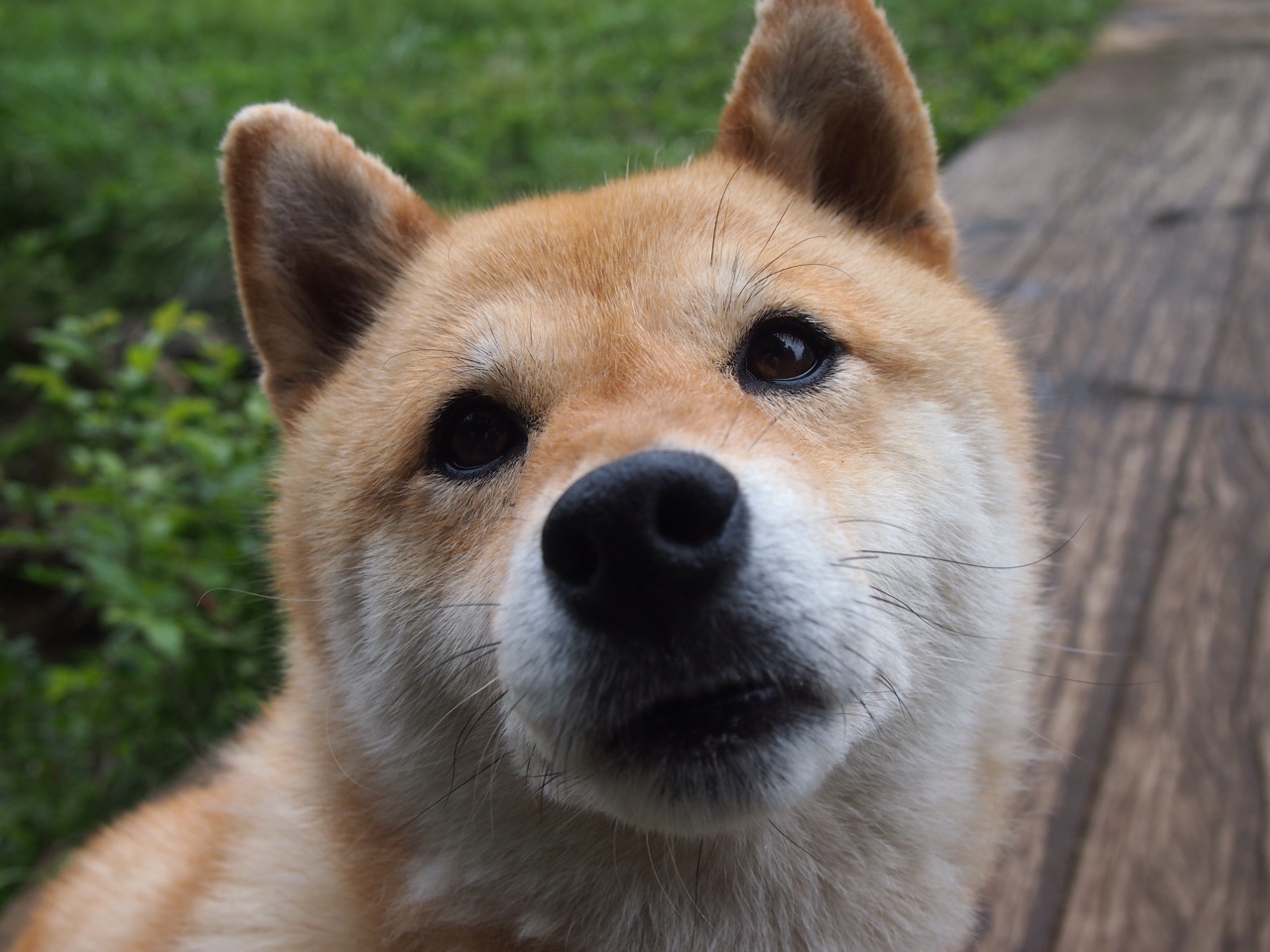 红牛之夜,罗德里戈如何让对手陷入完全无解的方程式?