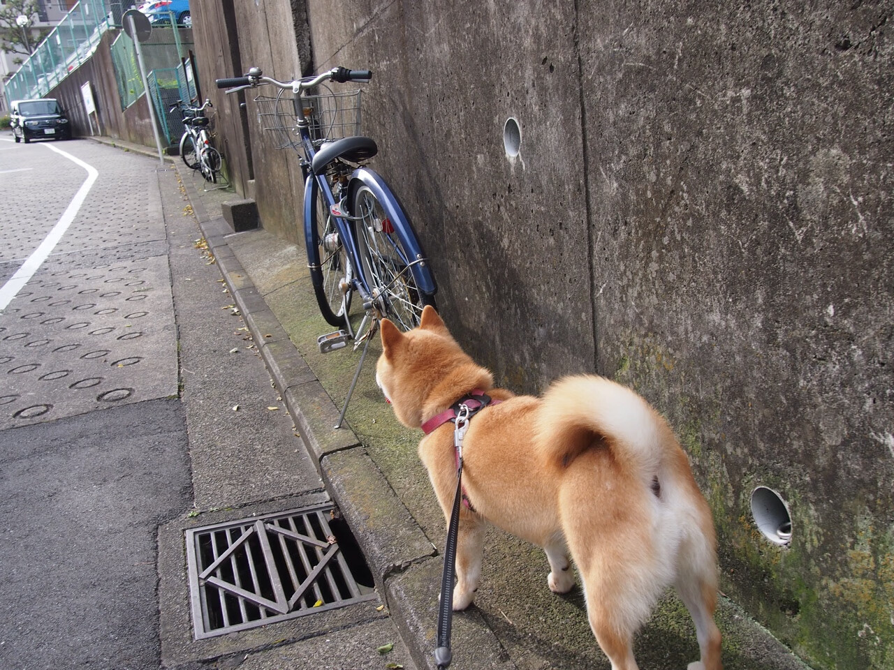 一球定乾坤，一代收残局，当关键时刻遇见时代更替