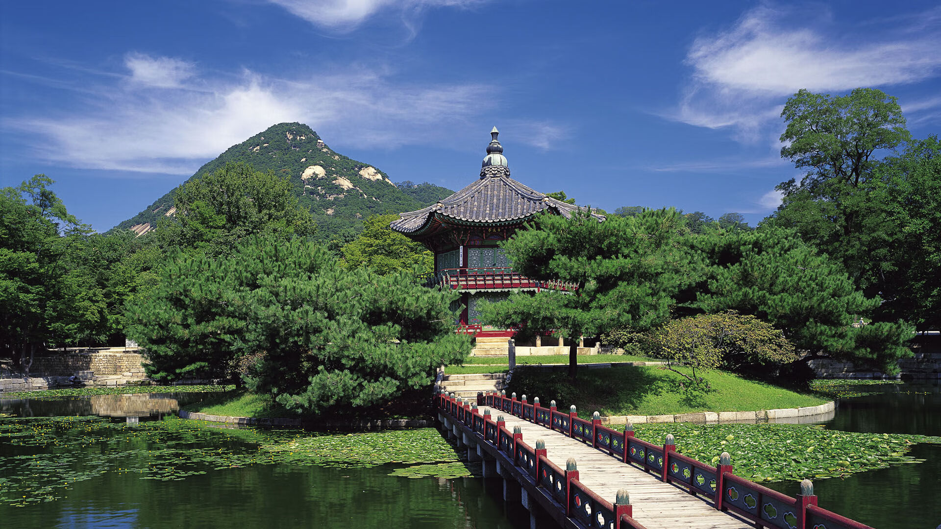 硬仗之王拉亚，委内瑞拉对阵玻利维亚的生死博弈