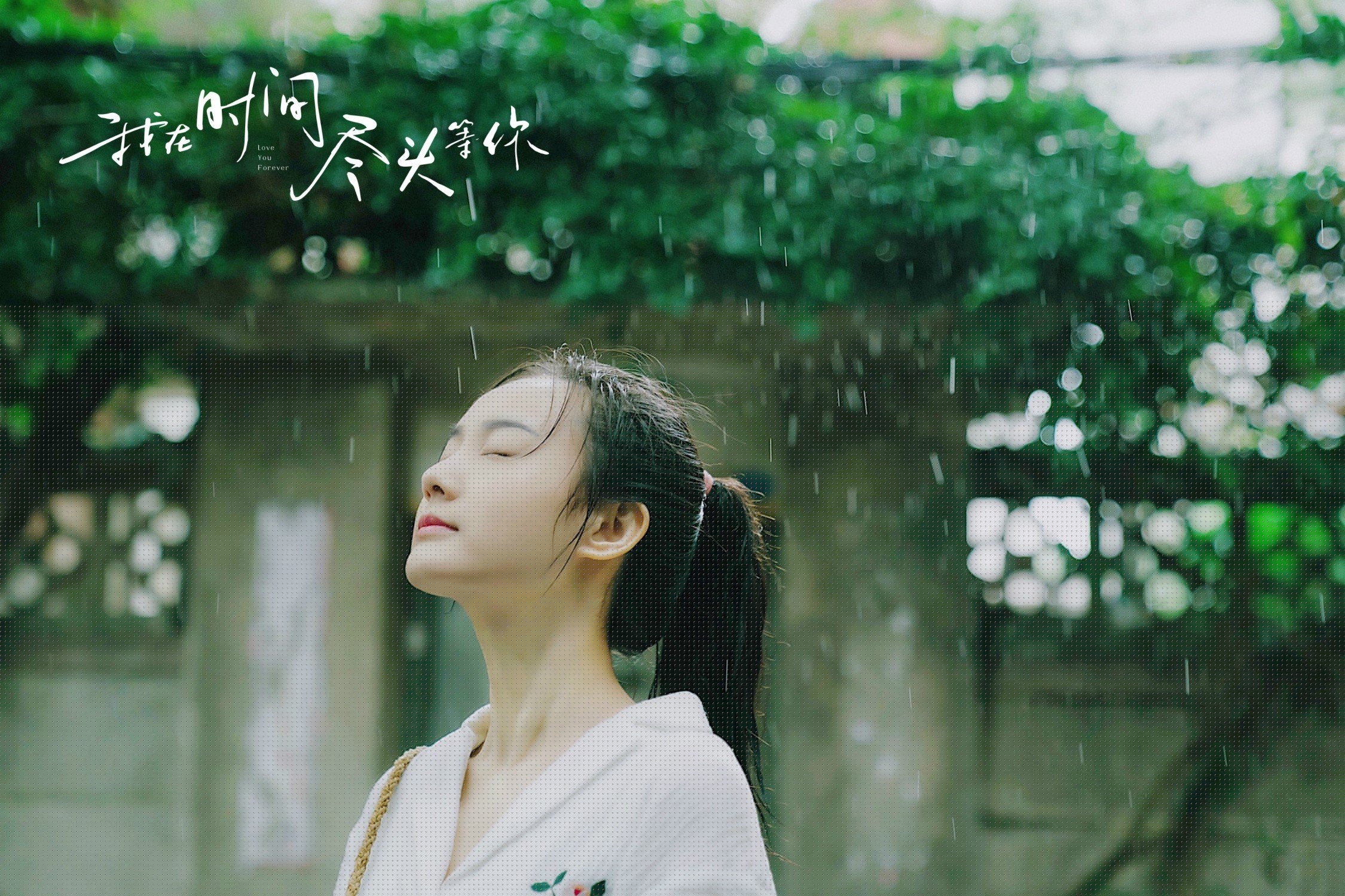 跨越太平洋的篮球史诗，救赎与征服